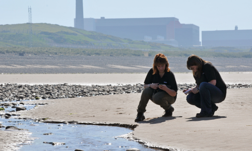 Environmental monitoring at Sellafield Ltd